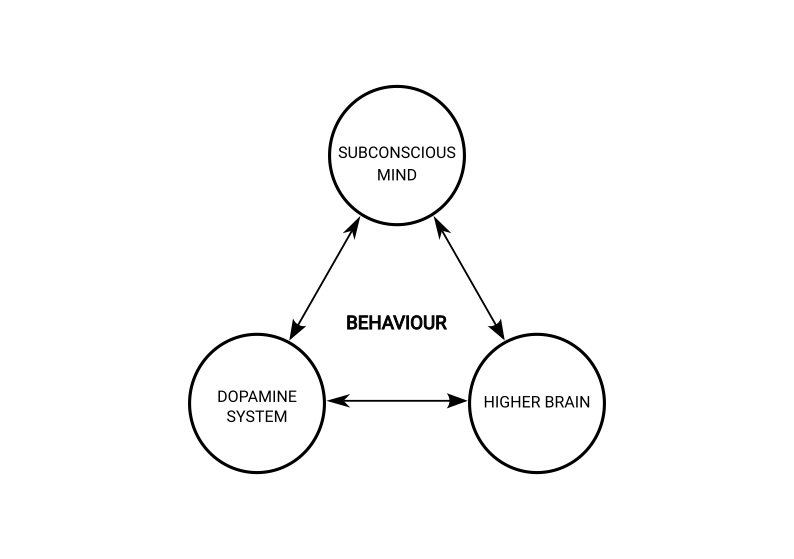 Behaviour mechanisms in the Practical Sobriety model